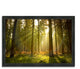 "Forest At Dusk", Framed Photograph Print, Ready To Hang