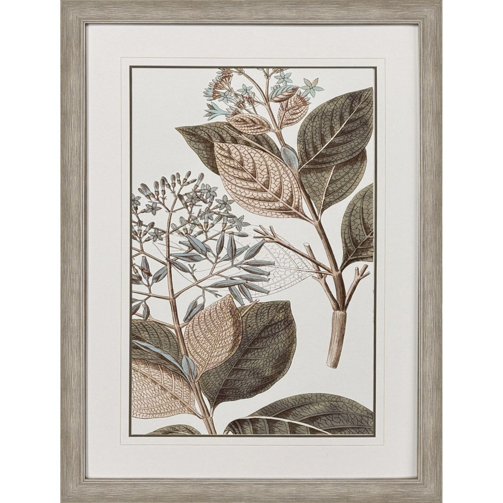 Flowering Botanical III Framed Art