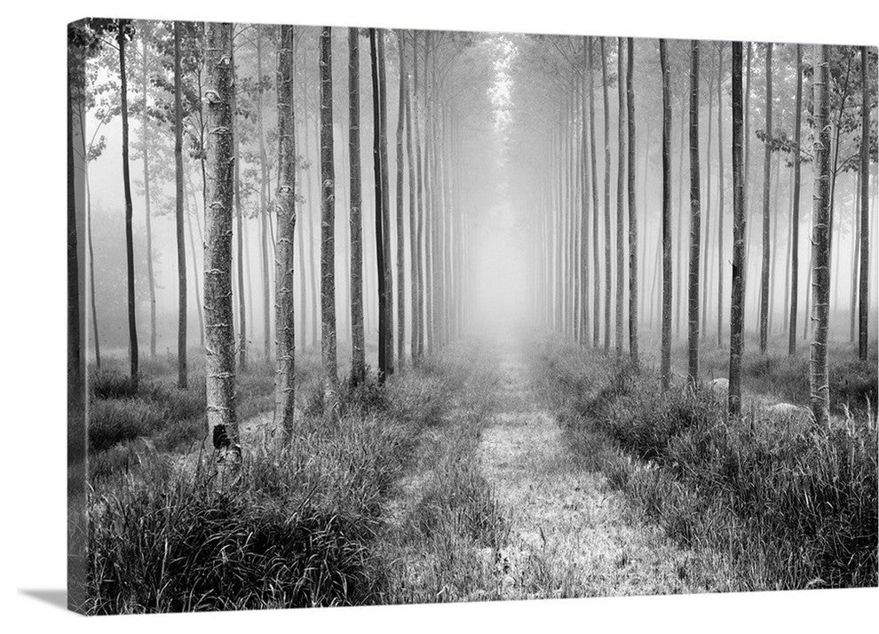 "On My Way" Wrapped Canvas Art Print, 48"x32"x1.5"