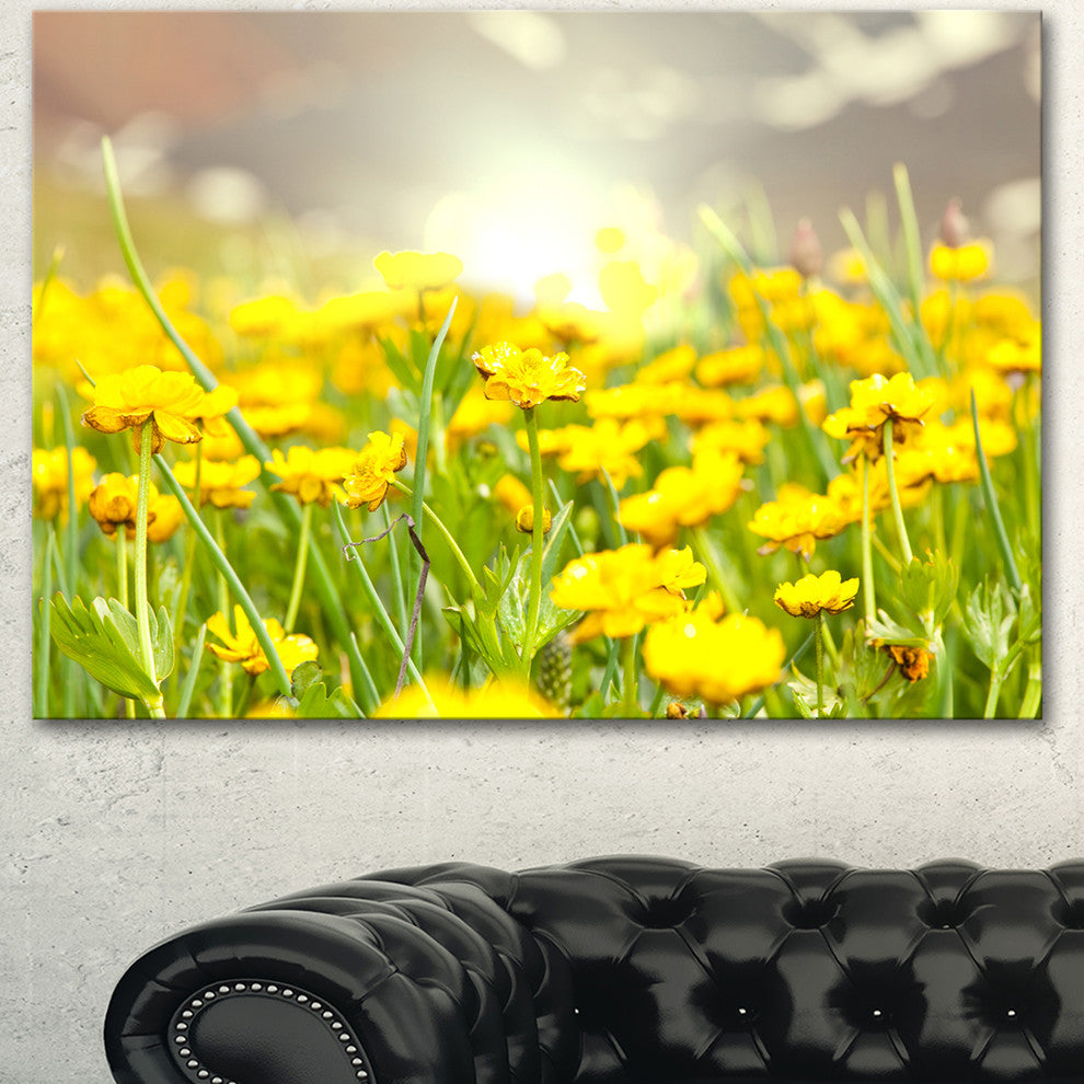 Sunny Meadow with Yellow Flowers, Floral Canvas Art Print, 40"x30"