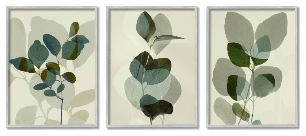 Modern Forest Plant Photography Overlapping Foliage Shadows,11 x 14