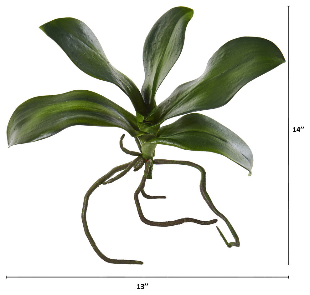 Nearly Natural 9ï¿½ Phalaenopsis Orchid Leaf Artificial Flower (Set of 6)
