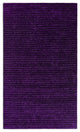 5" x 7" Eggplant Purple Modern Shimmery Area Rug