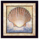 "Shell" By Ed Wargo, Printed Wall Art, Ready To Hang Framed Poster, Black Frame