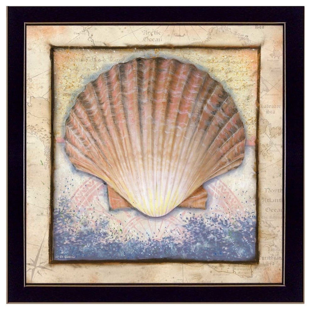 "Shell" By Ed Wargo, Printed Wall Art, Ready To Hang Framed Poster, Black Frame