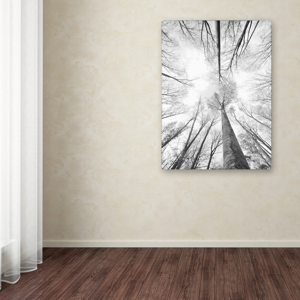 'Recall the Days' Canvas Art by Philippe Sainte-Laudy