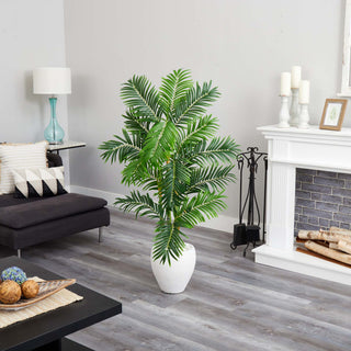 Lifestyle shot in a real room environment; full plant visible with no overlays.