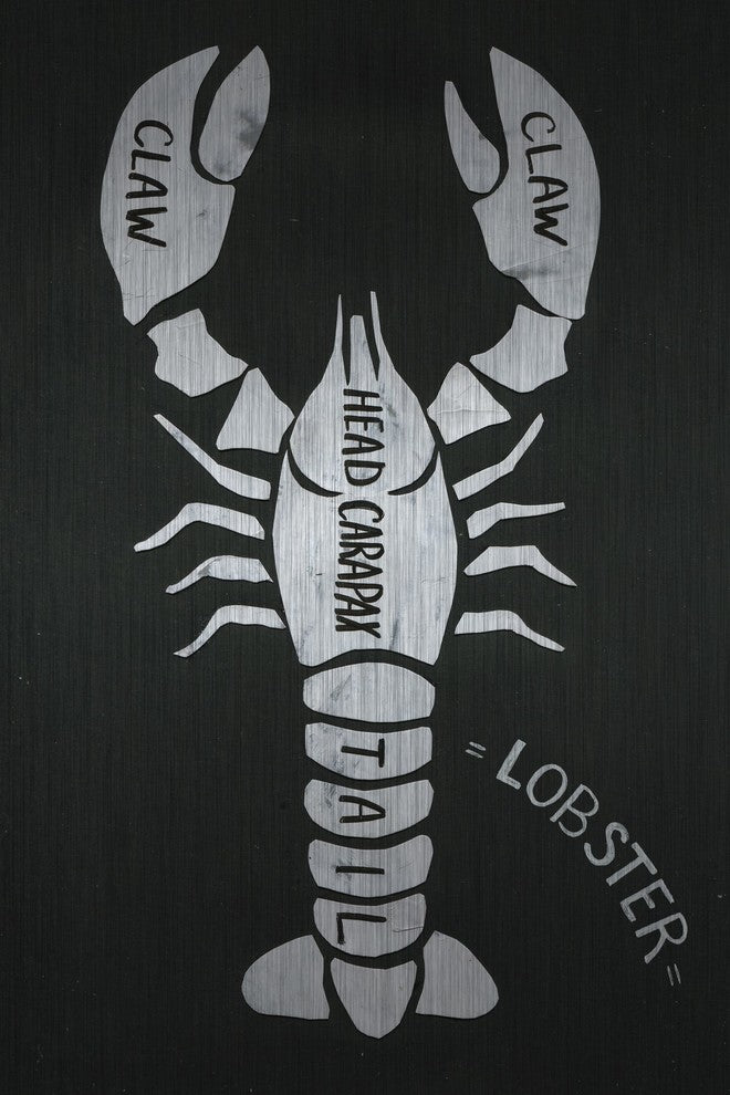 "Lobster Formation" Painting Print on Brushed Aluminum, 12"x18"