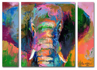 "Elephant 2" Multi-Panel Canvas Art Set by Richard Wallich