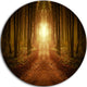 Road In Symmetrical Forest, Landscape Photo Round Wall Art, 11"