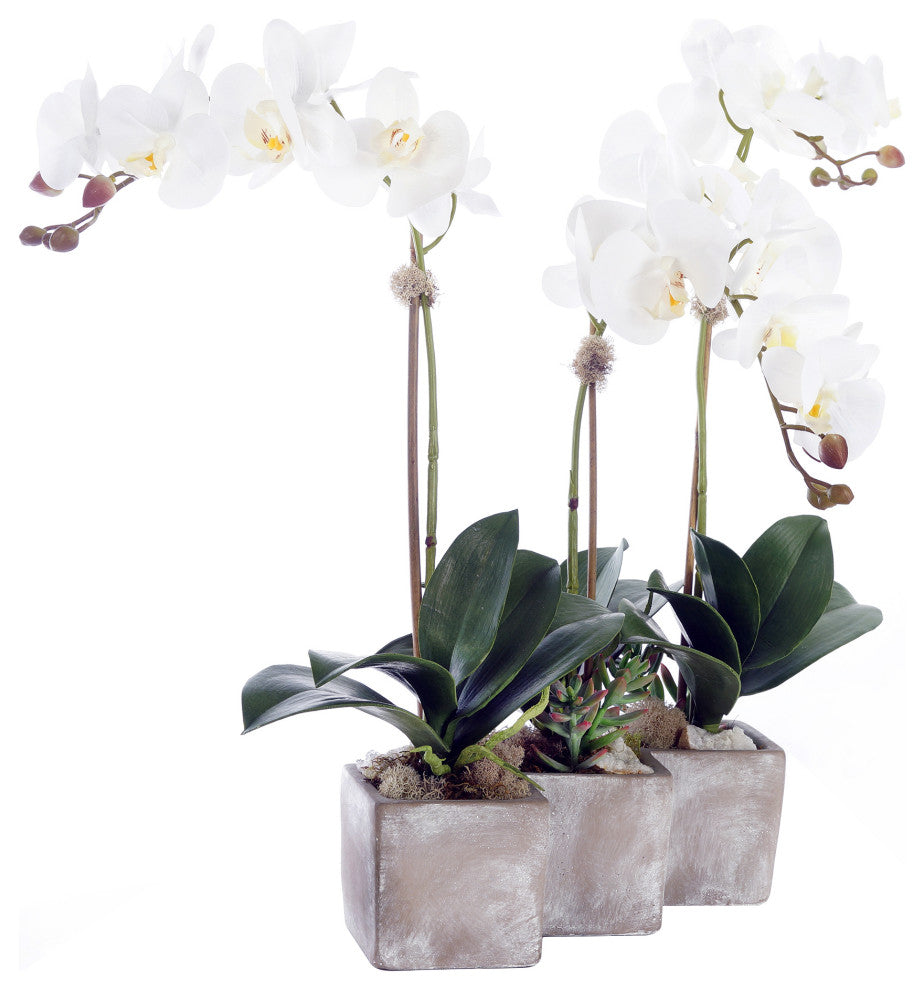 Three Sisters Real Touch White Orchid Arrangement