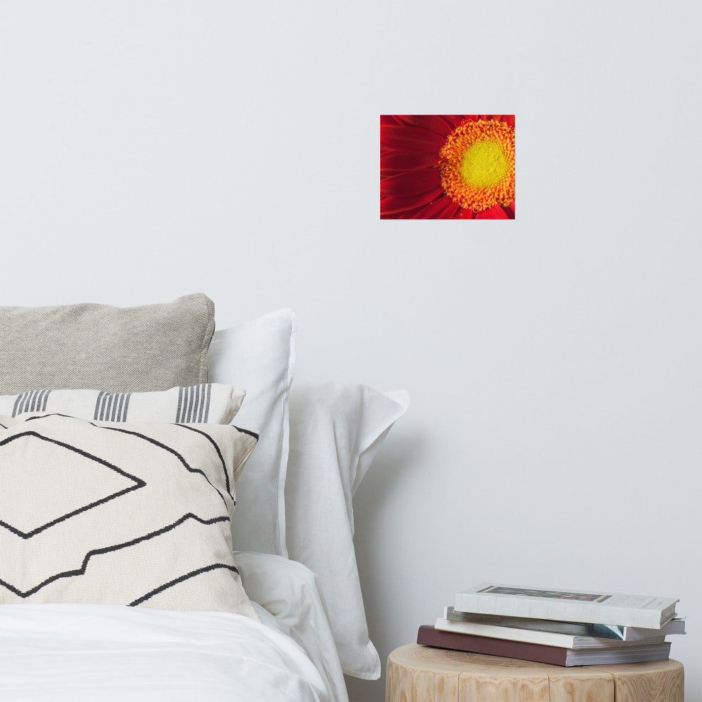 Nature's Beauty Nature Photography, Floral Unframed Wall Art Print, 8" X 10"