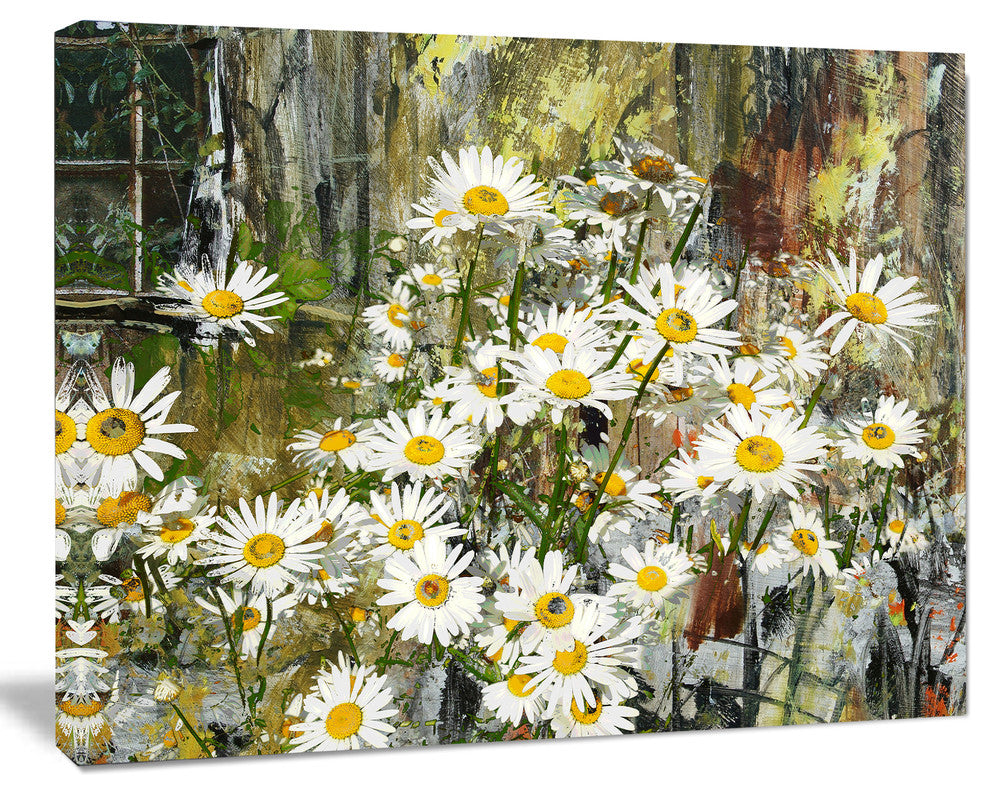 Daisies Flowers Under the Window, Floral Art Canvas Print, 20"x12"