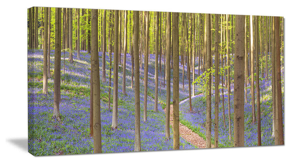 Blooming Bluebell Forest Panorama, Landscape Canvas Art Print, 60"x28"