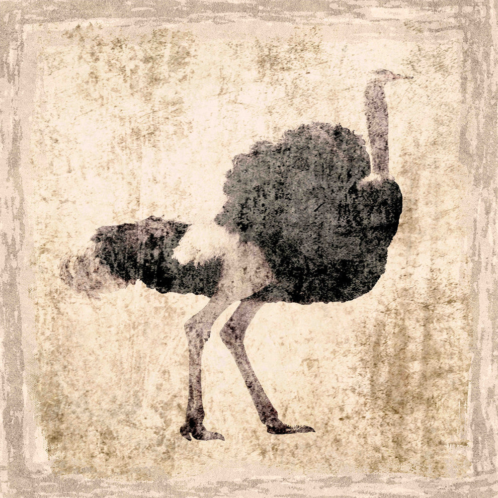 "The Ostrich" Painting Print on Canvas by Irena Orlov