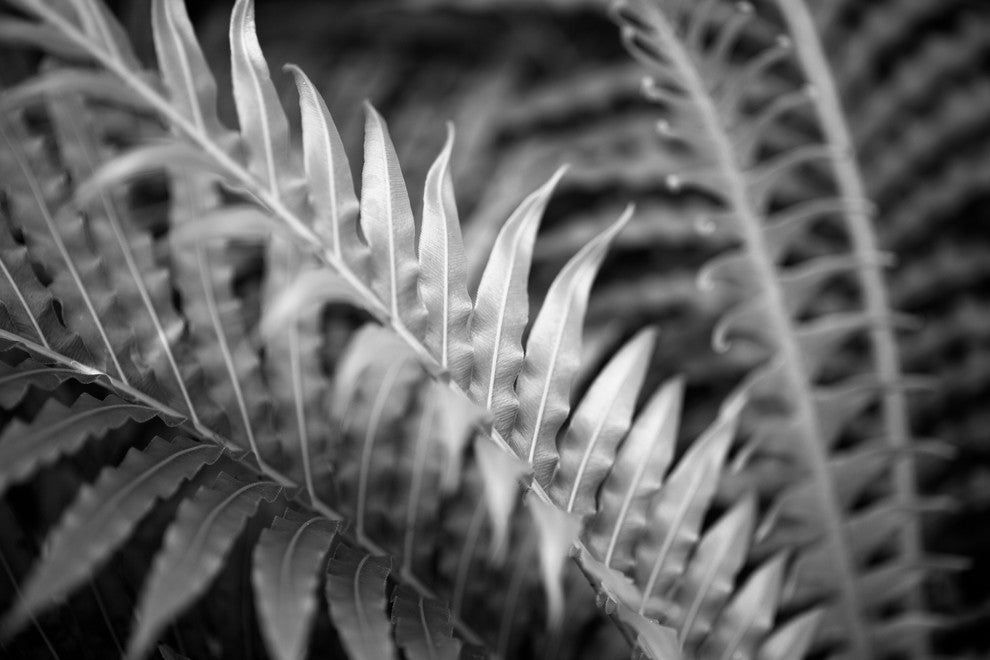 Marmont Hill, "Smooth Transition" by Morgan Hartley on Wrapped Canvas, 18x12