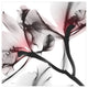 "Coral Luster 2" Frameless Free Floating Panel Graphic Wall Art, 24"x24"