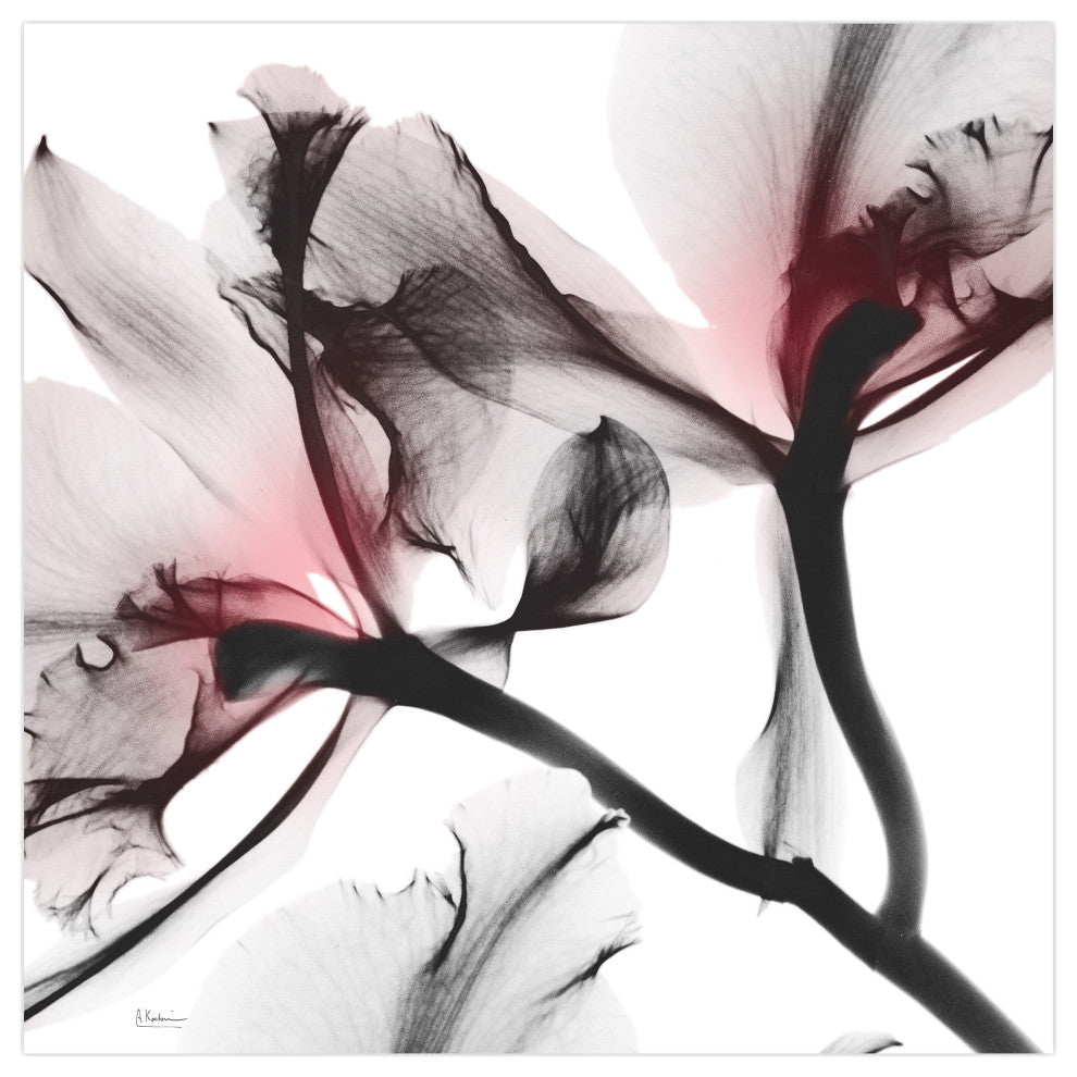 "Coral Luster 2" Frameless Free Floating Panel Graphic Wall Art, 24"x24"