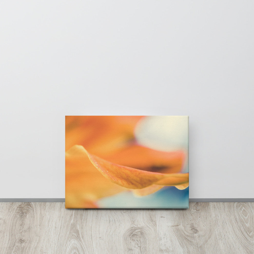 Serene Petals of Life Floral Nature Photo Canvas Wall Art Print, 12" X 16"