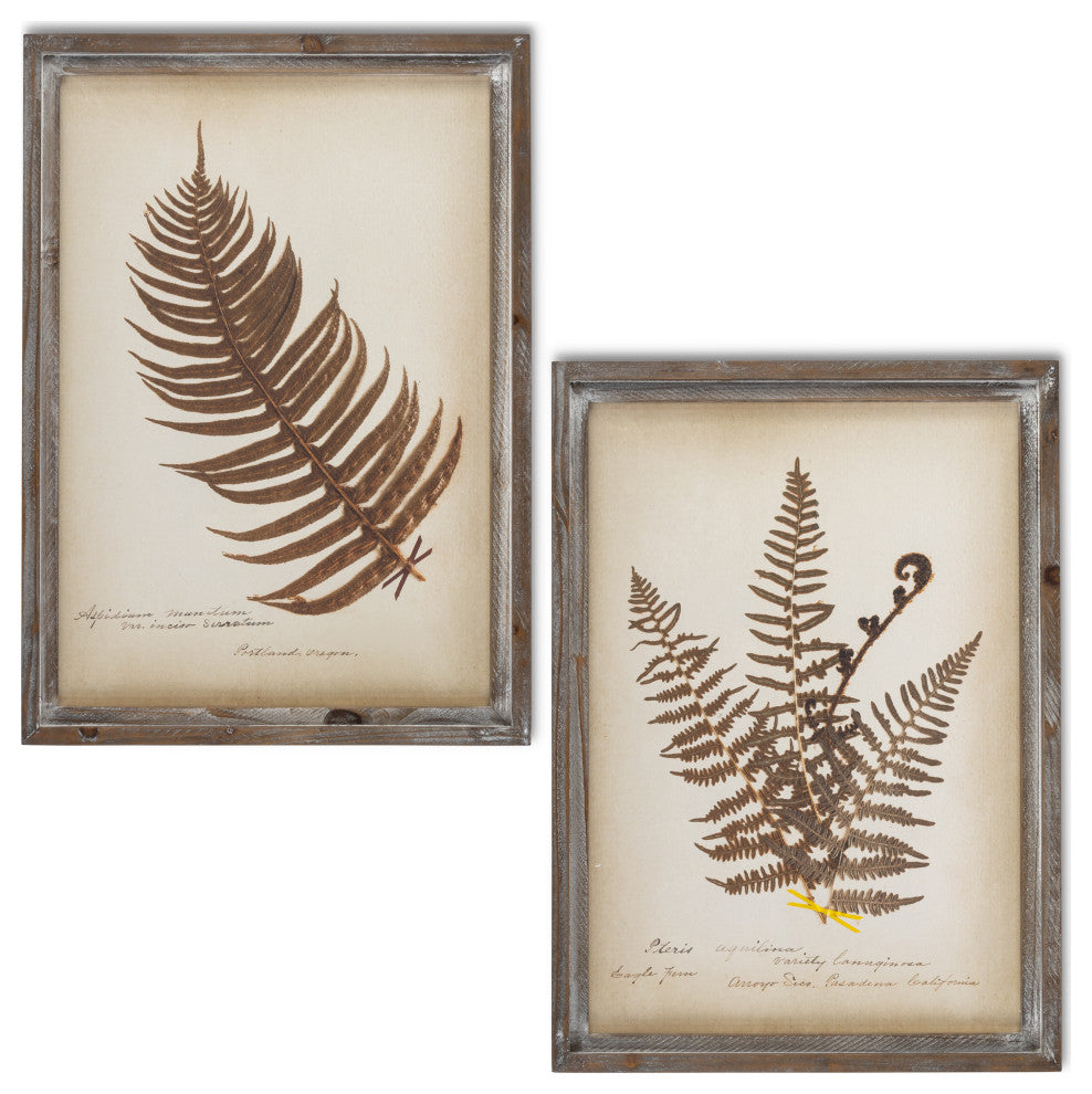 Set of 2, 22" Antique Fern Art, Wooden Frame