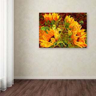 'Four Sunflowers' Canvas Art by Mandy Budan