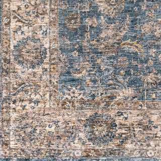 Mirabel Traditional Area Rug, Navy/Gray, 2'7"x4'