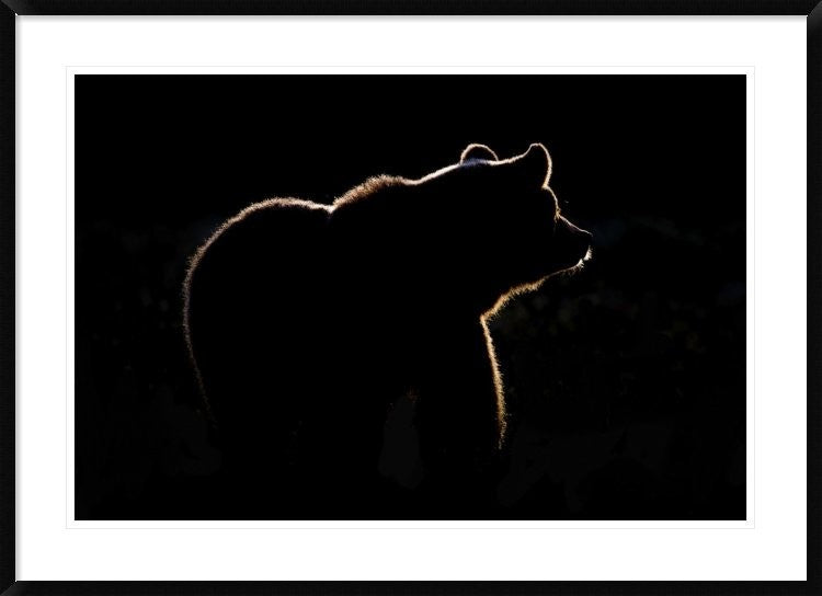"Highlight" Framed Digital Print by Gorazd Golob, 44x32"