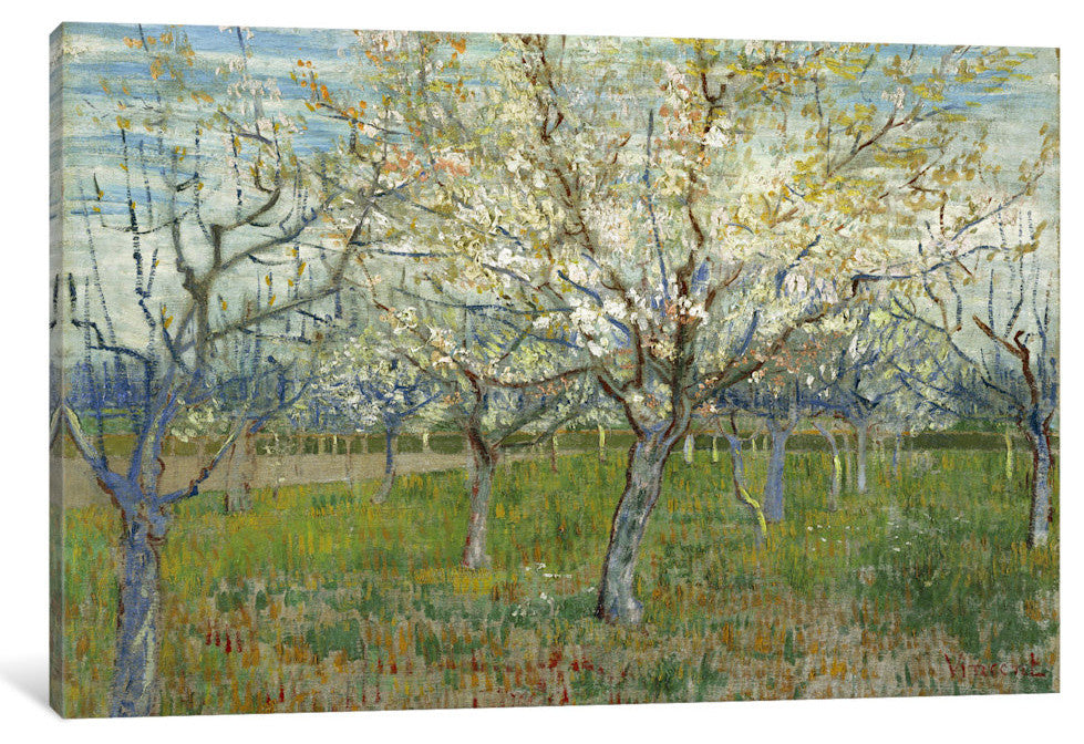 "The Pink Orchard" Wrapped Canvas Art Print, 40x26x1.5