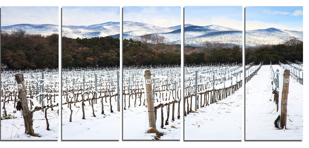 Snow Covered Vineyard Rows Italy, Landscape Canvas Art, 60"x28", 5 Panels