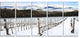 Snow Covered Vineyard Rows Italy, Landscape Canvas Art, 60"x28", 5 Panels