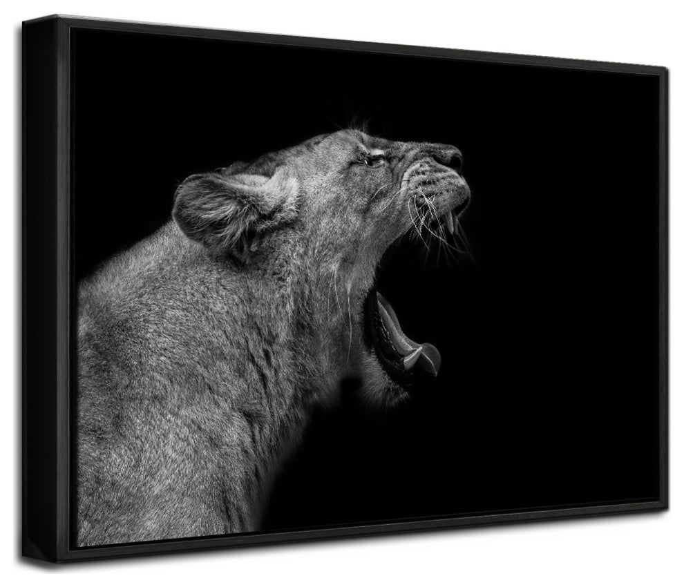 Lioness in Low Key' Framed Print Wall Art by Nauzet Baez