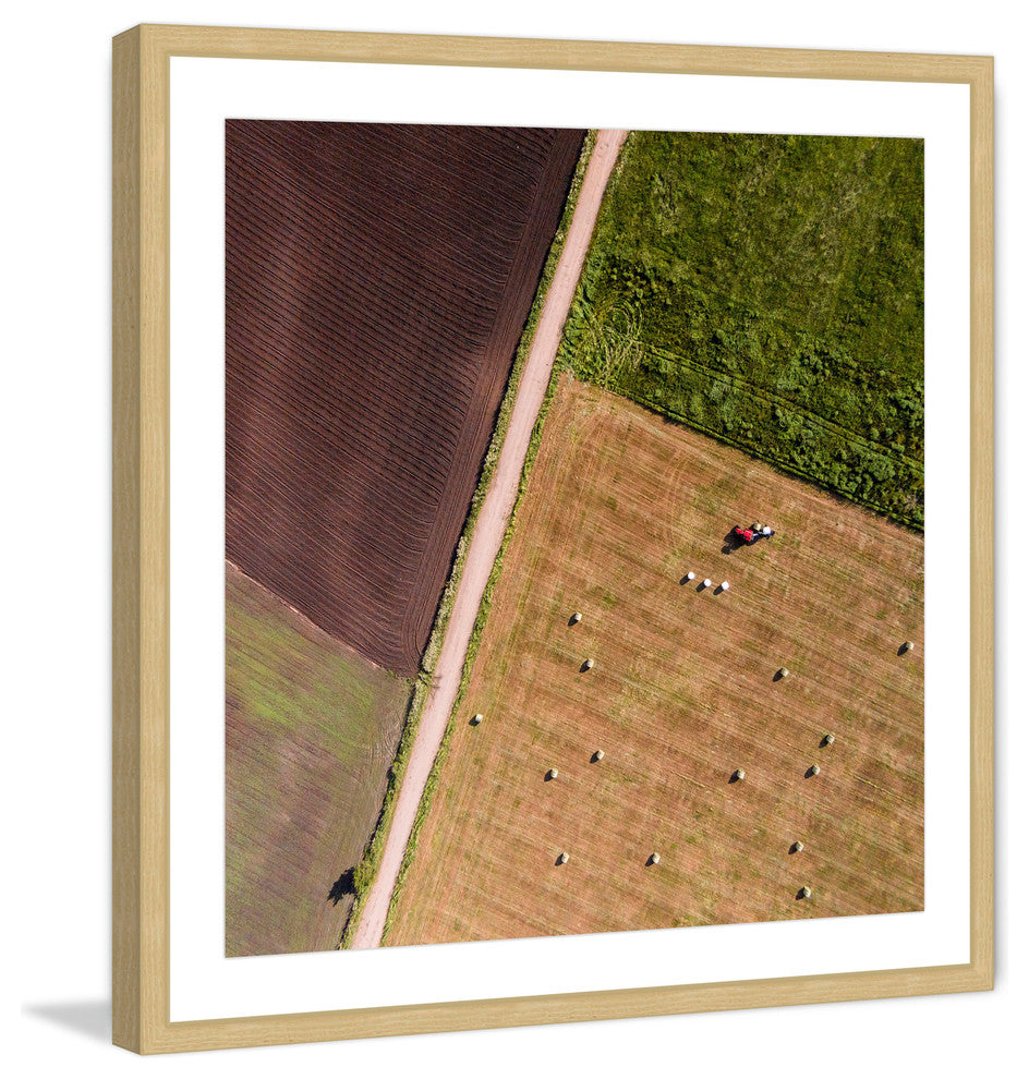 "Farm Land" Framed Print by Karolis Janulis