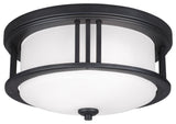 Generation Lighting 7847902EN3 Crowell 2 Light 14"W LED Flush - Black