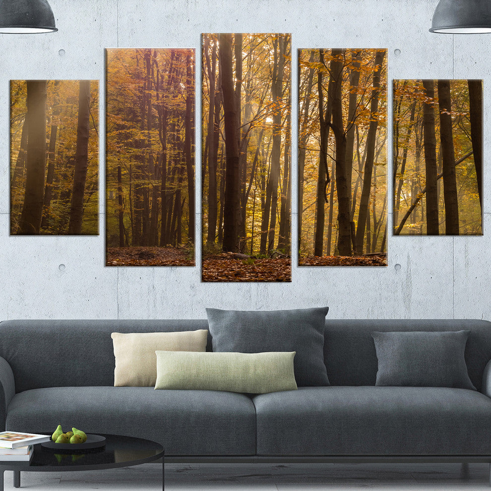 Dense Forest in Rays of Rising Sun, Forest Canvas Art Print, 60"x32", 5 Panels