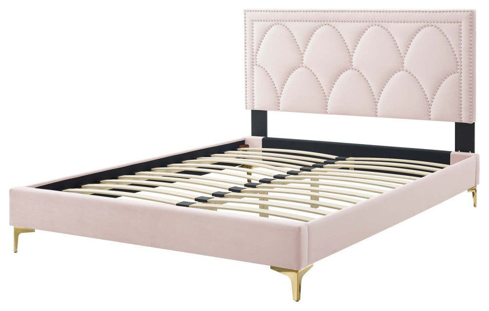 Platform Bed Frame, Nailhead, Queen Size, Pink, Velvet, Modern, Guest Suite