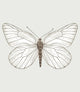 White Butterfly Tapestry