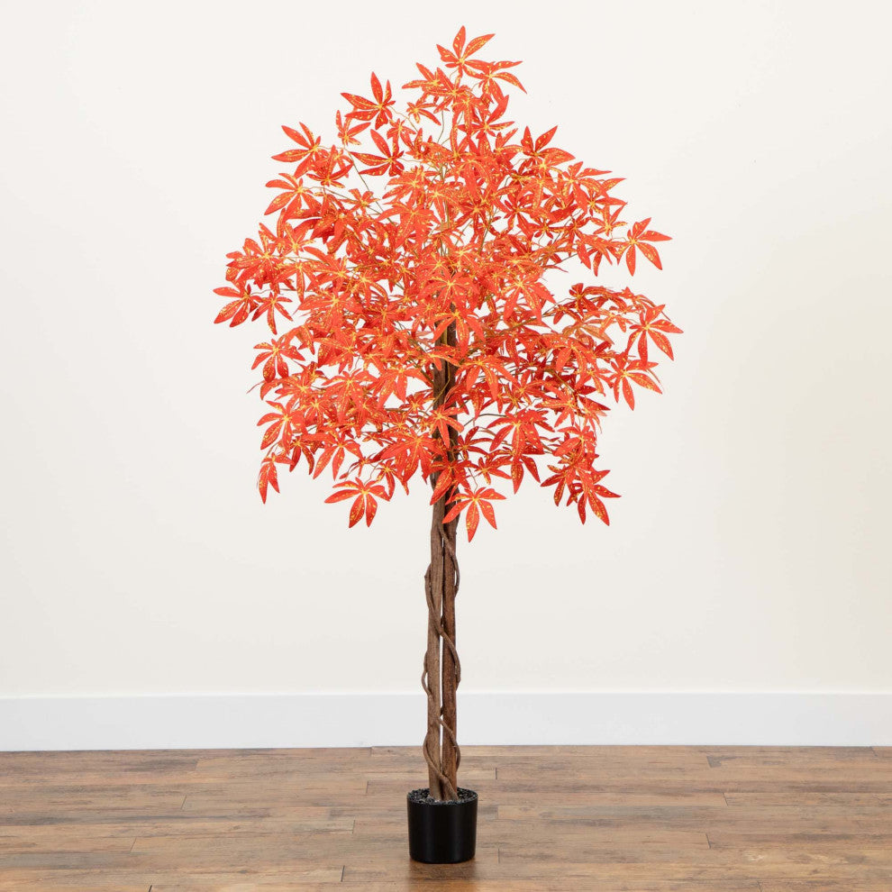 Lifestyle image showing tree in a room; full product visible; natural background.