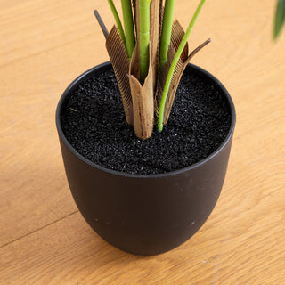 Close-up view of the base/pot on a lifestyle surface; cropped lifestyle shot.