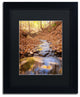 Jason Shaffer ''Secret Spot'' Matted Framed Art, Black Frame, Black Mat, 11x14