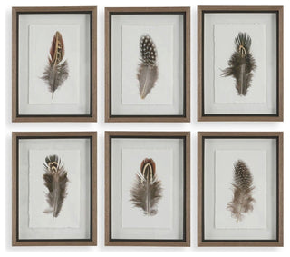 Uttermost 41460 Birds Of A Feather 20" x 15" Framed Animals - Multicolored