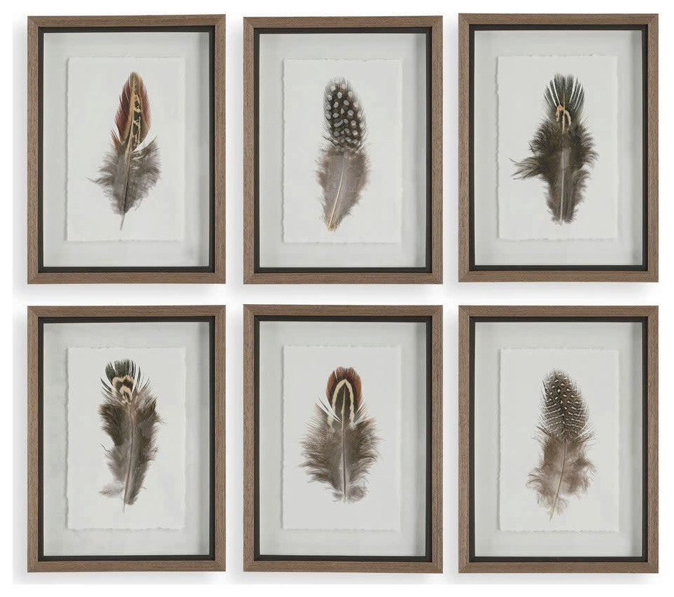 Uttermost 41460 Birds Of A Feather 20" x 15" Framed Animals - Multicolored