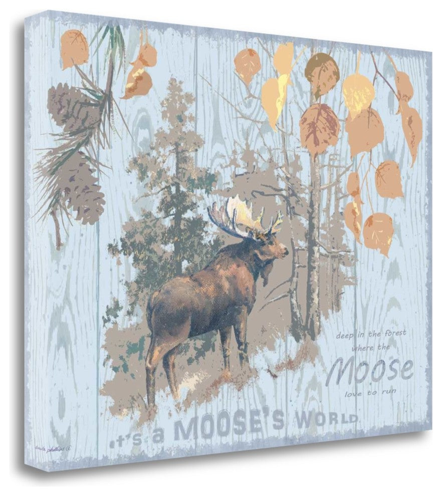 "Mooses World Gray" By Anita Phillips, Giclee Print on Gallery Wrap Canvas