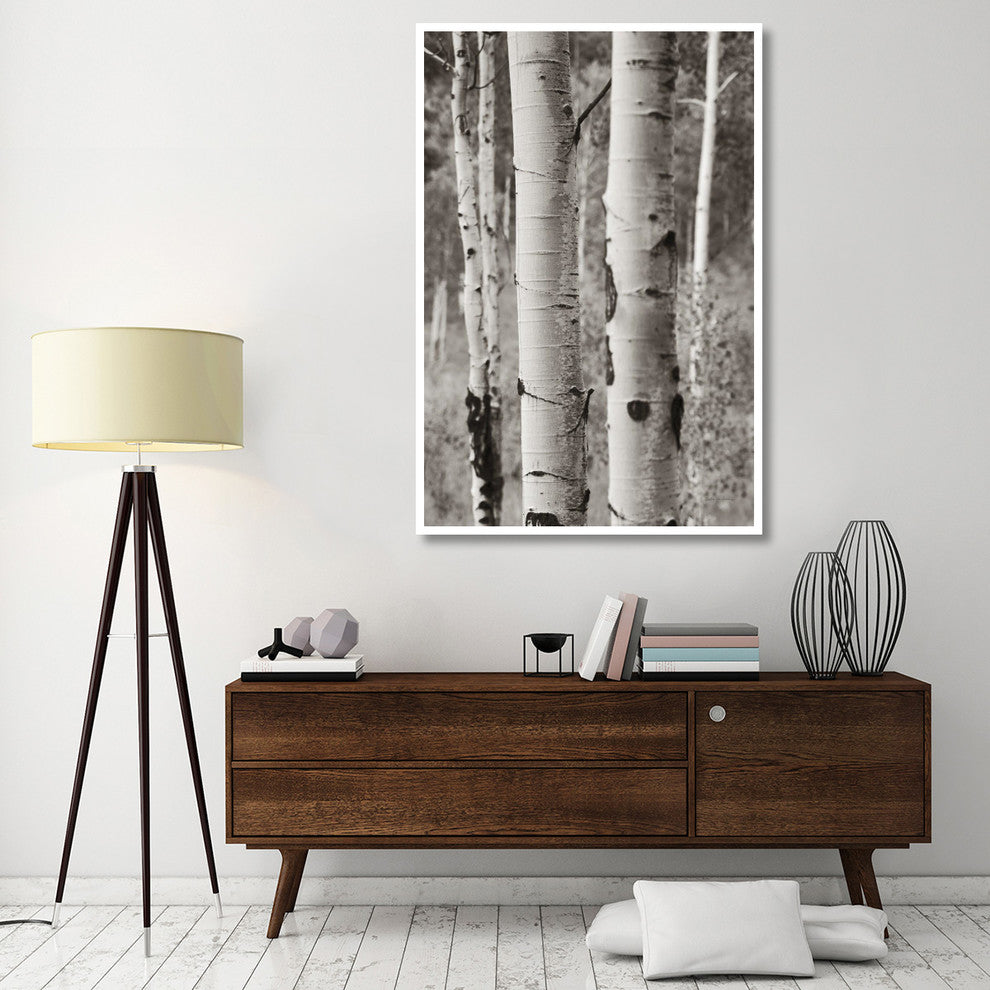 "Aspens II" Digital Paper Print by Debra Van Swearingen, 42"x62"