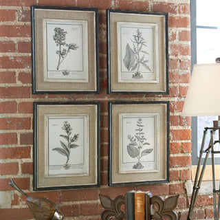 Casual Grey Study Framed Prints, Set of 4