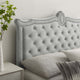 Platform Bed Frame, Nailhead, Queen Size, Gray, Velvet, Modern