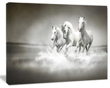 Horses Running Through Water, Oversized Animal Wall Art, 20"x12"