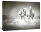 Horses Running Through Water, Oversized Animal Wall Art, 20"x12"