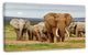 Large Elephant Herd in Africa, African Canvas Art Print, 32"x16"