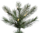 3' X 29" Cashmere Pine Led100Wmwht