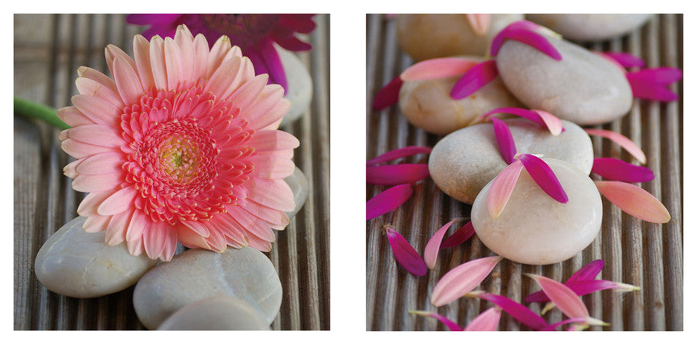 "Beauty, Bloom" Tempered Glass Wall Art, 2-Piece Set